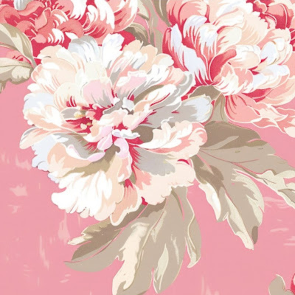 Meet your Posher, Pink paeonias